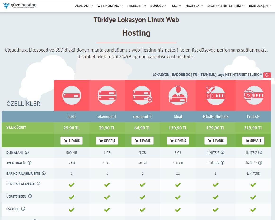 Hosting nasıl alınır